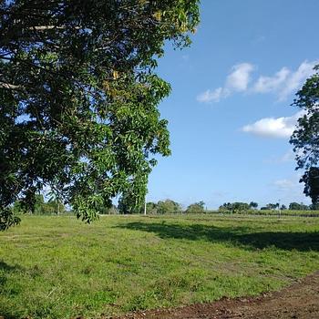 solares y terrenos -  FINCA PEQUEÑA