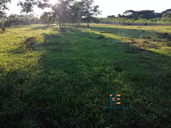 solares y terrenos - Finca con 20 Tareas en Ramon Santana