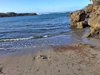 solares y terrenos - Excelente terreno con un kilómetro de playa ideal para proyecto 