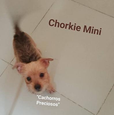 Listing thumbnail