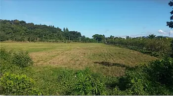 solares y terrenos - Solar 38,589 mts Juma Bejucal, Bonao