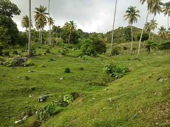 solares y terrenos - La finca de tus sueño en Las Garitas, Samaná.