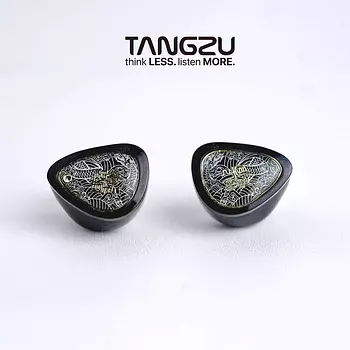 camaras y audio - Tangzu Wan'er 2 auriculares IEM 10mm DD jack 3.5mm