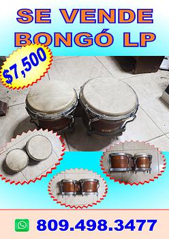 instrumentos musicales - Bongó LP 