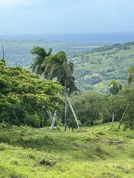 solares y terrenos - 🌿 Tropical Breeze Cupey – Proyecto Ecológico 