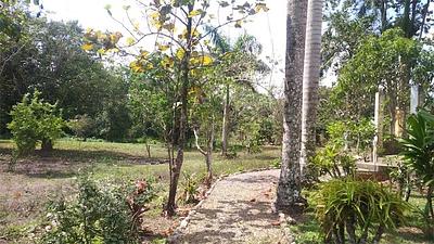 Listing thumbnail