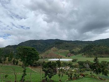 solares y terrenos - Venta de Solares en Constanza - Excelente Ubicación