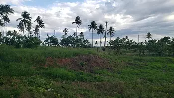 solares y terrenos - Solar en venta en Sanchez - Samana