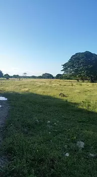 solares y terrenos - Solar 200,000 mts uvero alto  punta cana 
