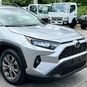 jeepetas y camionetas - Toyota Rav4 Le 2019 ✅️ Clean Carfax 