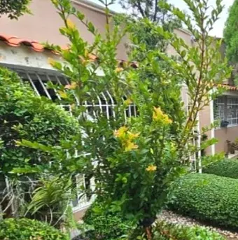 casas - Casa en Venta con Gran Patio en Altos Arroyo Hondo