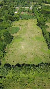 solares y terrenos - 19,200mts² Terreno/Solar en El Toro de Guerra, Carretera Mella