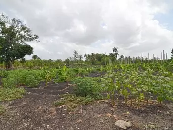 solares y terrenos - Terreno en Venta en Monte de la Jagua, Moca