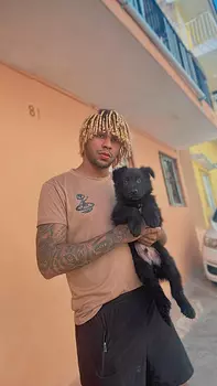 animales y mascotas - pastor alemán negro 