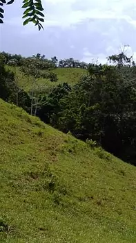 solares y terrenos - Oportunidad de terreno