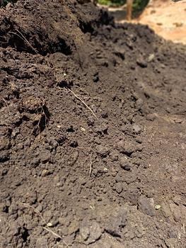 herramientas, jardines y exterior - Tierra negra