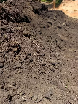 herramientas, jardines y exterior - Tierra negra