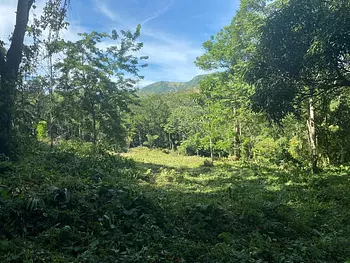 solares y terrenos - Finca en la Cumbre, Arroyo Vuelta Arriba