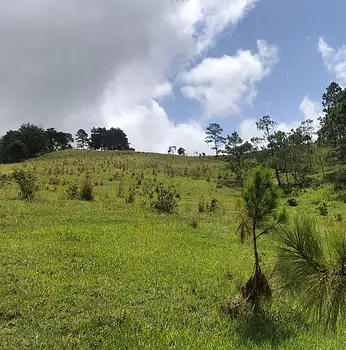 solares y terrenos - Solar en Constanza de oportunidad

Consta de 35mil metros unas 55.73 tareas