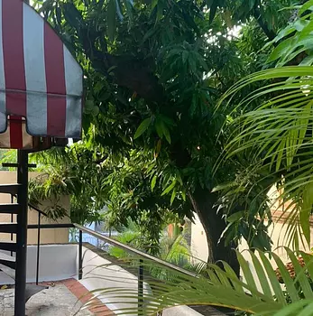 apartamentos - Se alquila apartaestudio amueblado en la Zona Colonial