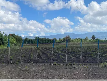 solares y terrenos - Terreno con 13,852 Mts2 en Limonal, Licey 