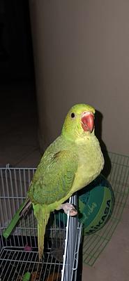 Listing thumbnail