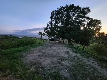 solares y terrenos - Finca en LOMA DEL COCO LA VEGA